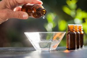 essential oils for pest control