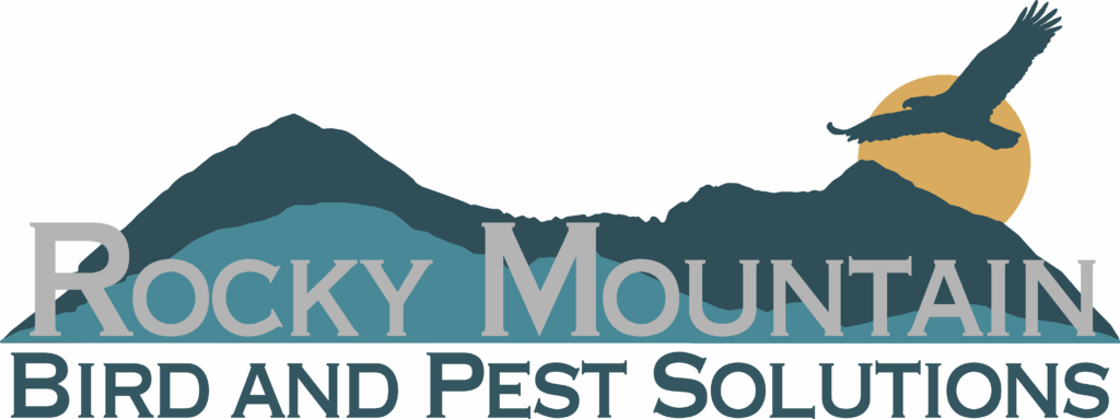 Rocky Mountain Bird and Pest Solutions