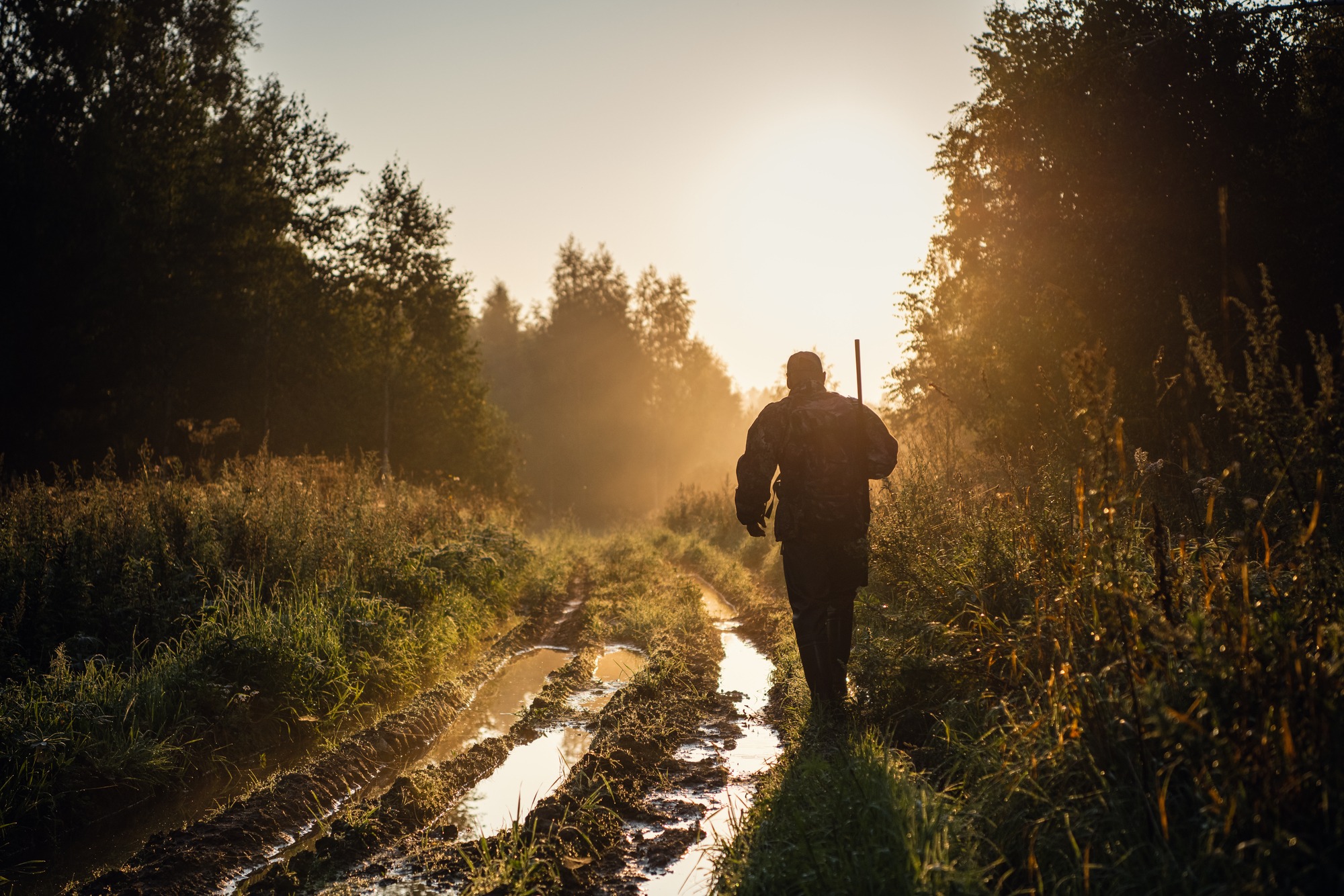Vintage hunter walks the forest road.