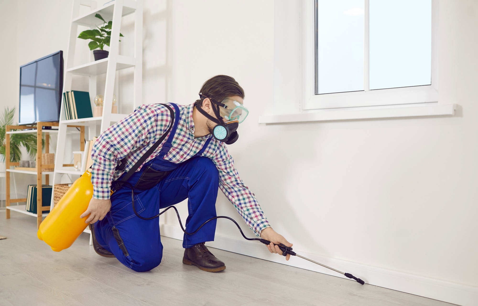 Pest control worker spraying insecticide in an infested home.