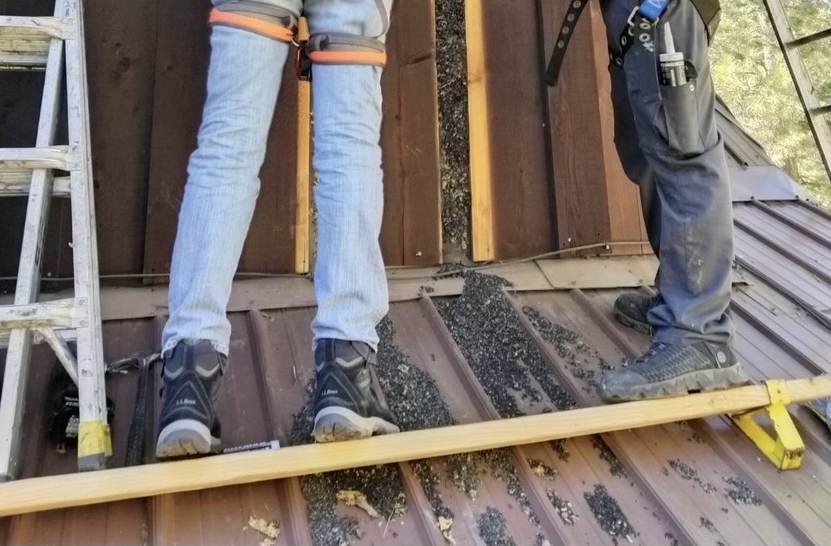 Bat Guano Exclusion Cleanup