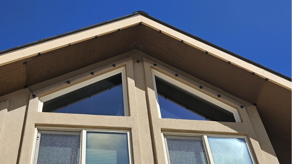 Bird Netting House Swallows