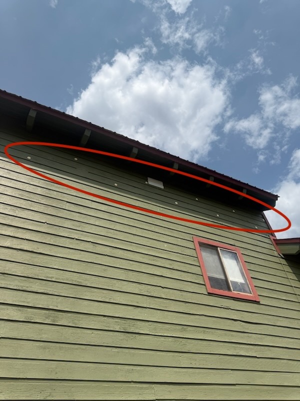 Woodpecker deterrent optical gel trays