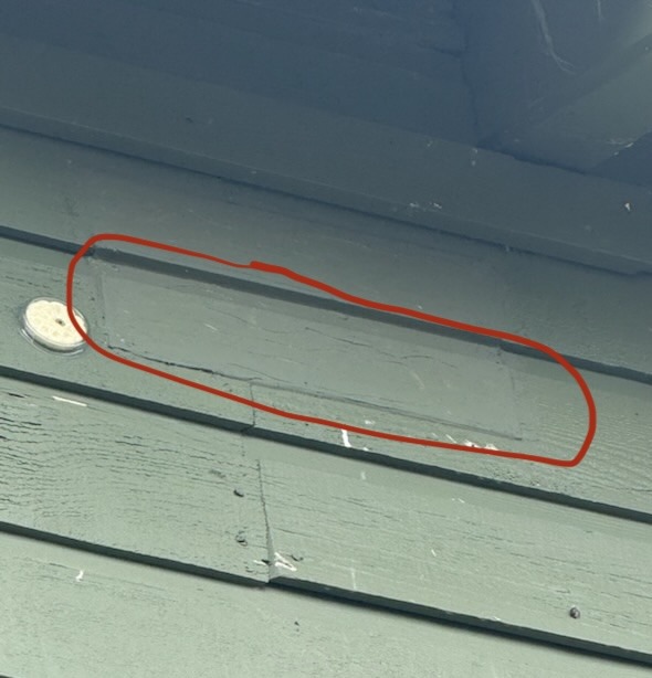 Woodpecker hole sealed with metal painted